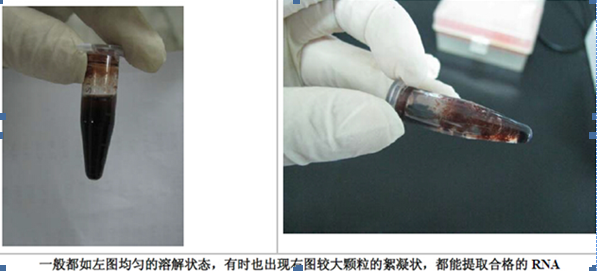 1-24041H2014R31.png