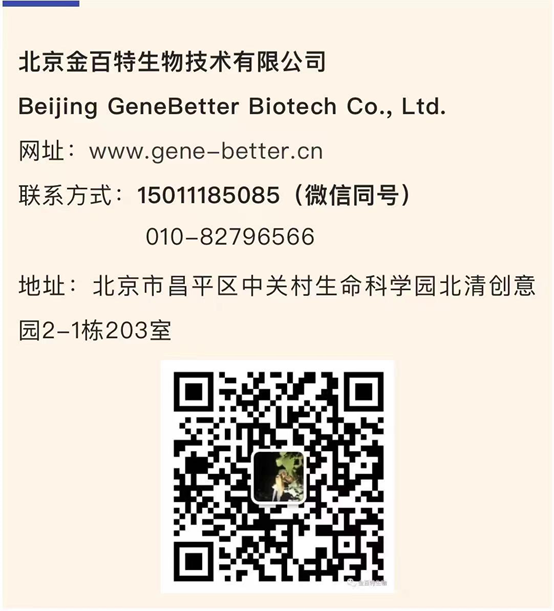 4c41c9a97764ef40403893bc9462f0e8.png
