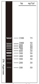 100BP.jpg