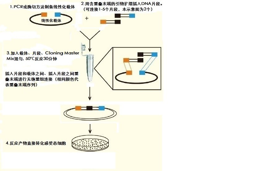 无缝克隆原理图.png.jpg